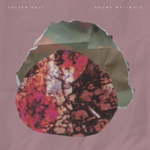 中国XⅩXⅩⅩx免费视频
